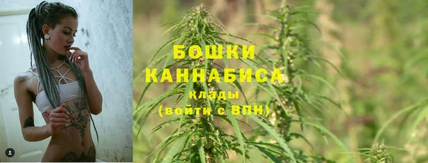 ПСИЛОЦИБИНОВЫЕ ГРИБЫ Ладушкин