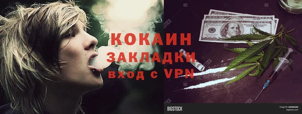 ПСИЛОЦИБИНОВЫЕ ГРИБЫ Ладушкин
