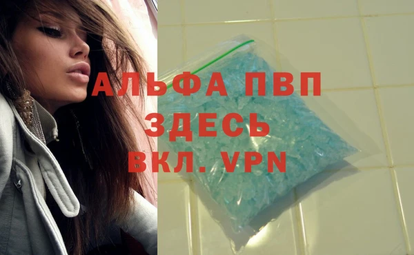 стаф Лагань