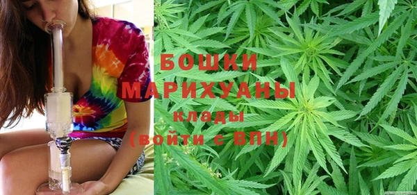 ПСИЛОЦИБИНОВЫЕ ГРИБЫ Ладушкин