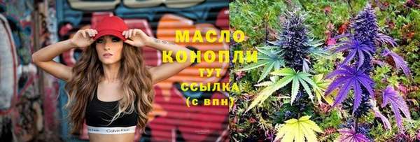 дживик Лабытнанги