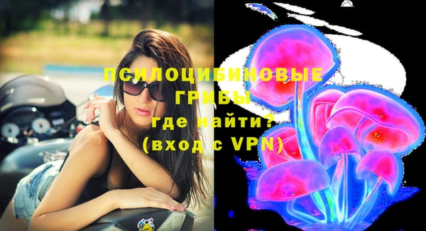 ПСИЛОЦИБИНОВЫЕ ГРИБЫ Ладушкин