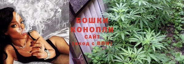 ПСИЛОЦИБИНОВЫЕ ГРИБЫ Ладушкин