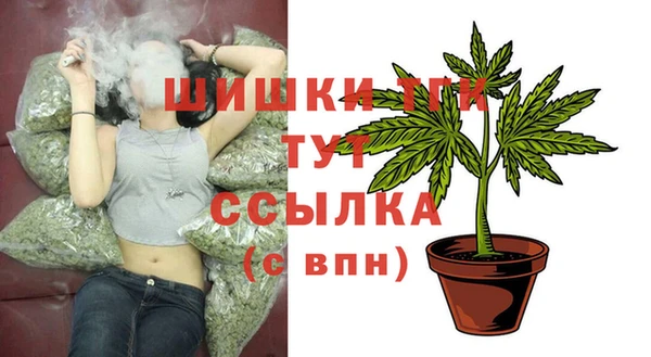 дживик Лабытнанги