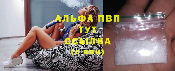 ПСИЛОЦИБИНОВЫЕ ГРИБЫ Ладушкин