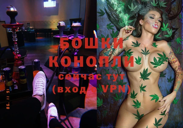 ПСИЛОЦИБИНОВЫЕ ГРИБЫ Ладушкин