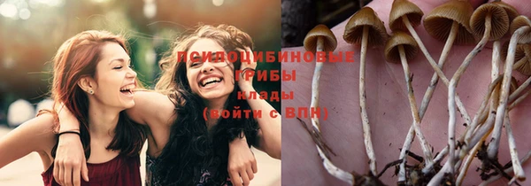 ПСИЛОЦИБИНОВЫЕ ГРИБЫ Ладушкин